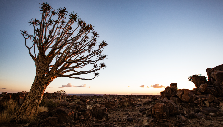 Lead image for article