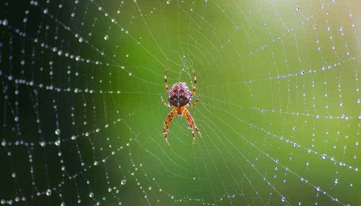 Lead image for article